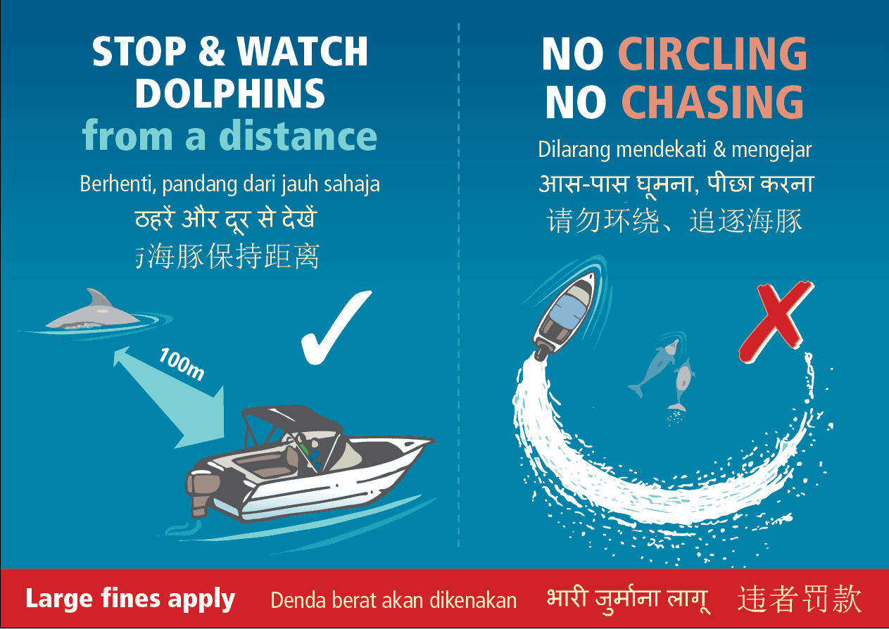 Safety sticker: stop and watch dolphins from a distance, staying 100 metres away. No circling and no chasing. Large fines apply.