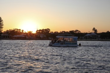 White Pearl at Sunset