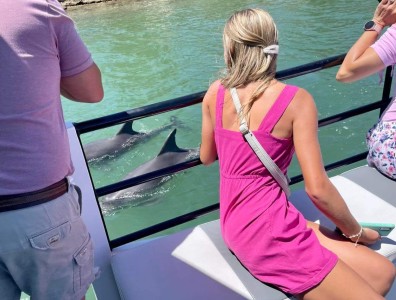 Dolphin Cruise in Mandurah