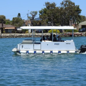 6 person pontoon Mandurah boat hire