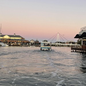 Mandurah Sunset in the Marina 